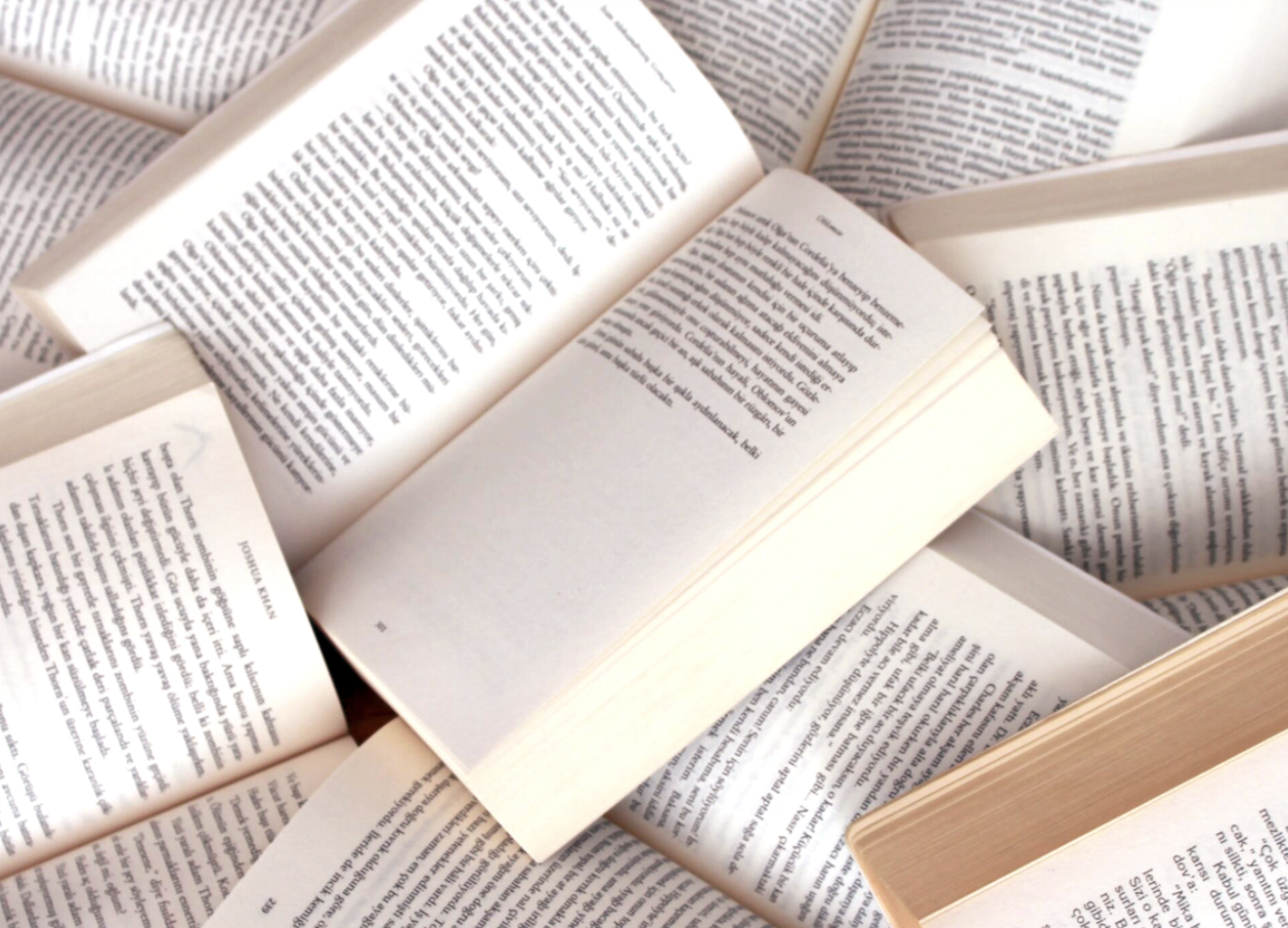 Read any Book in any Language Right Now